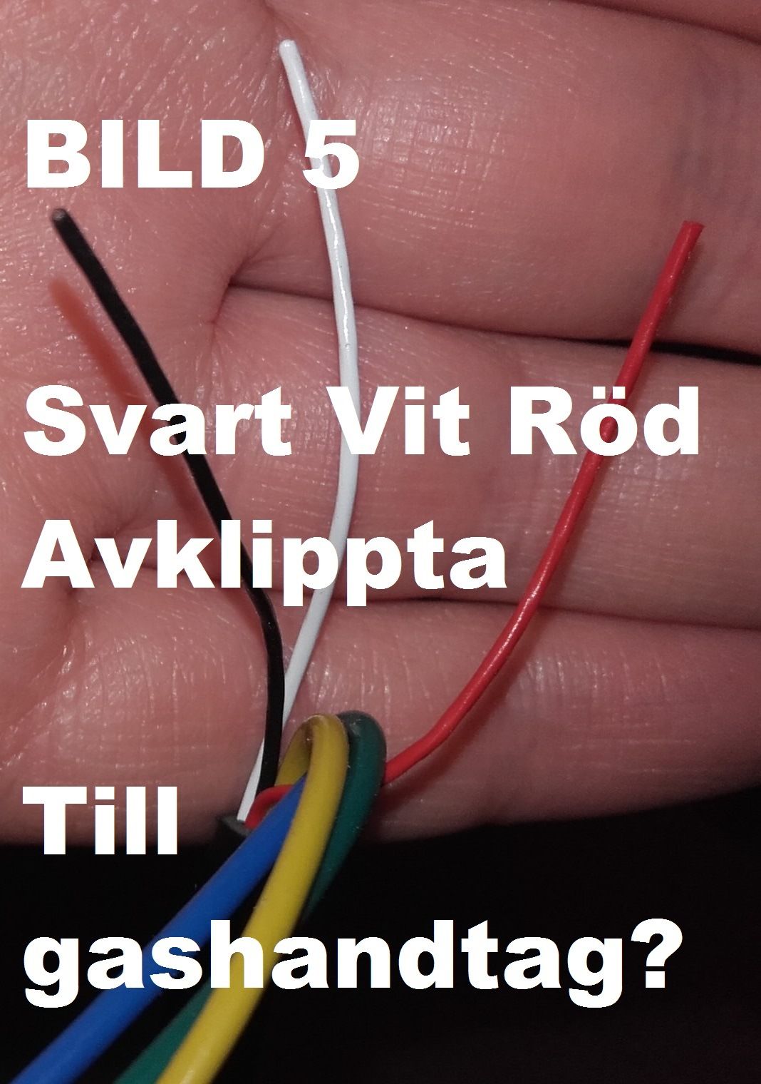 5.AVKLIPPTA-SvartVitRd.jpg