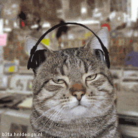 5.gif ht=280
