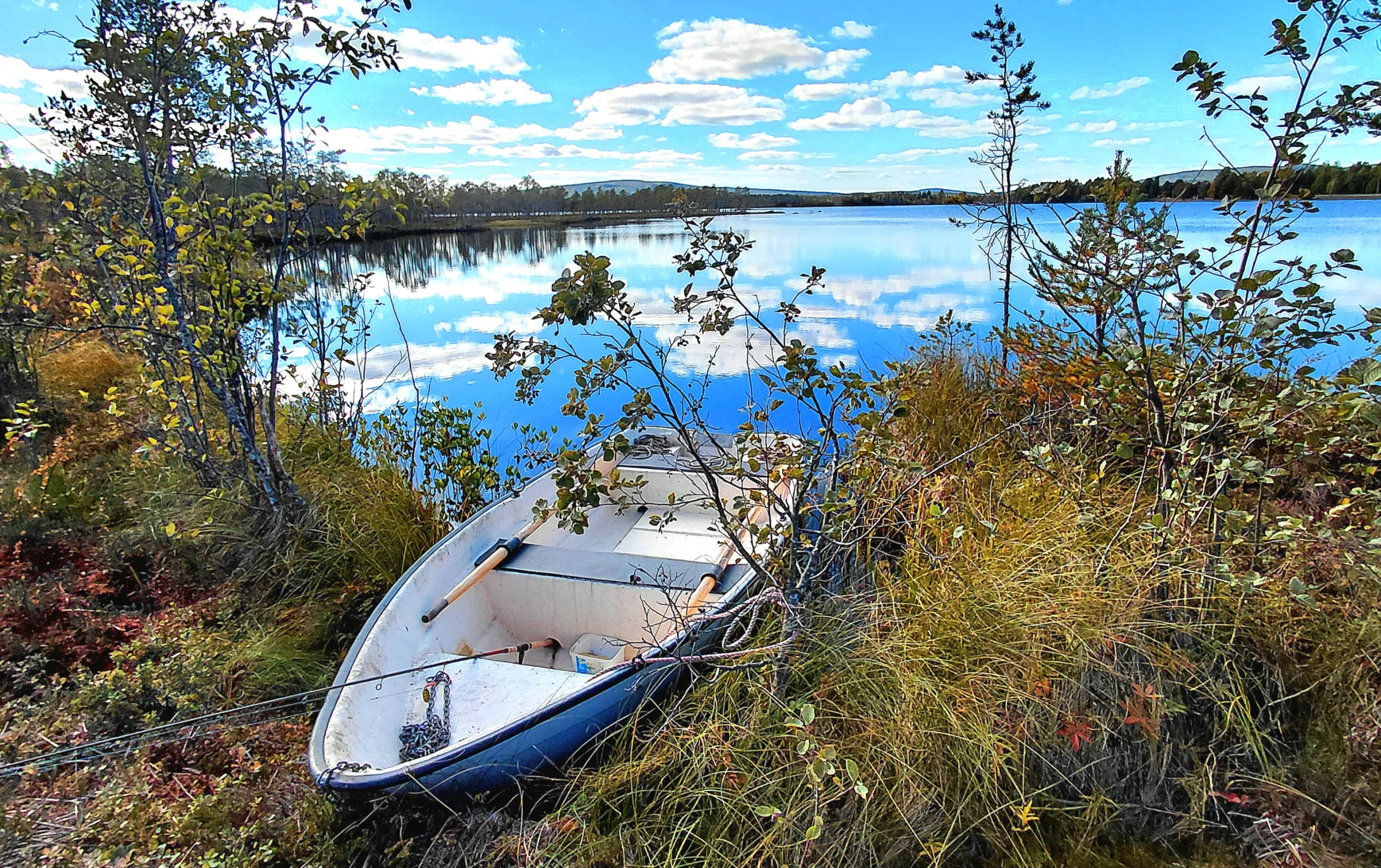 5288.webp