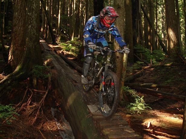 53Mickelogg.JPG ht=461