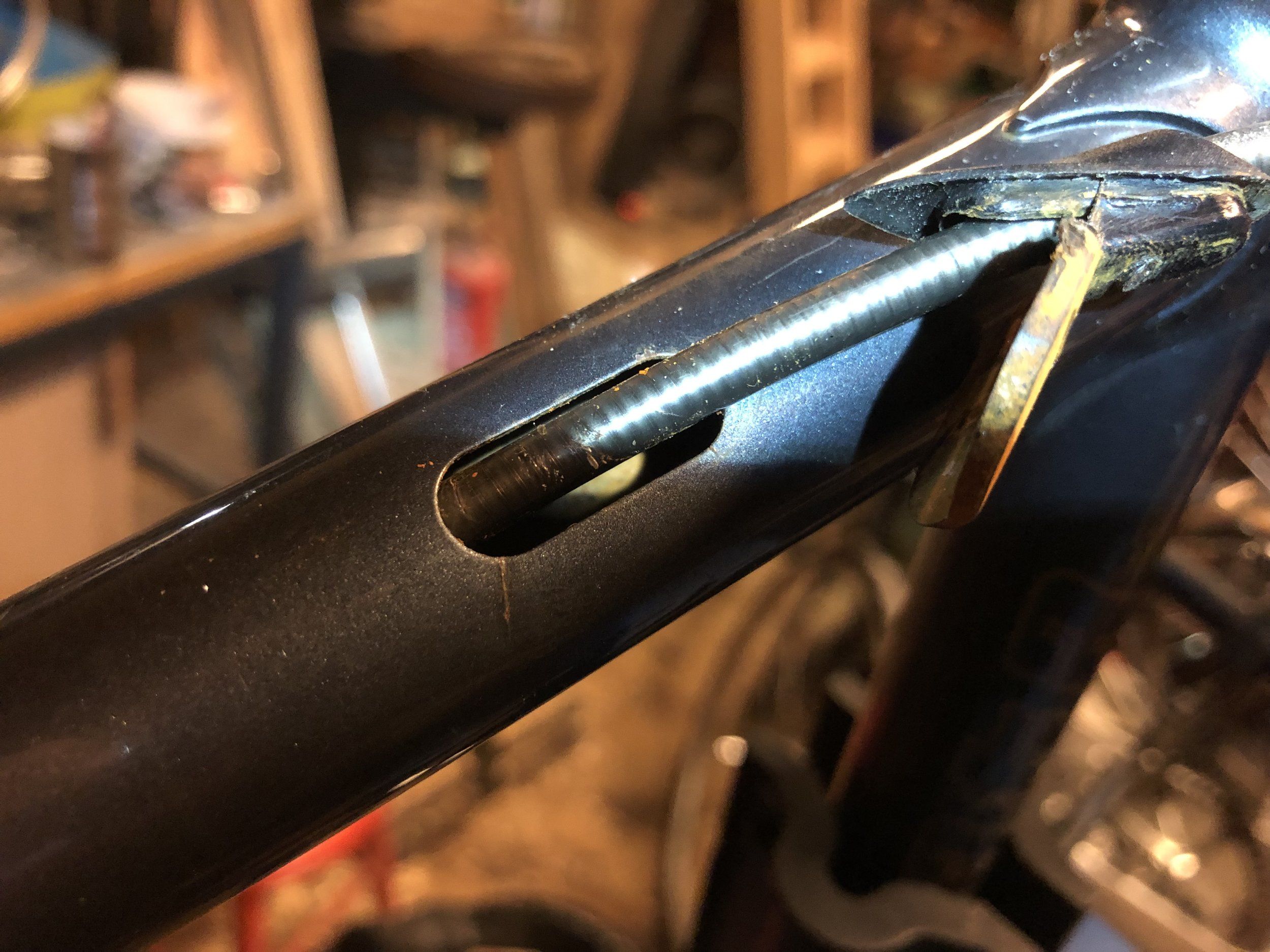 53D81224-4748-4881-A128-C93F98B08449.jpeg