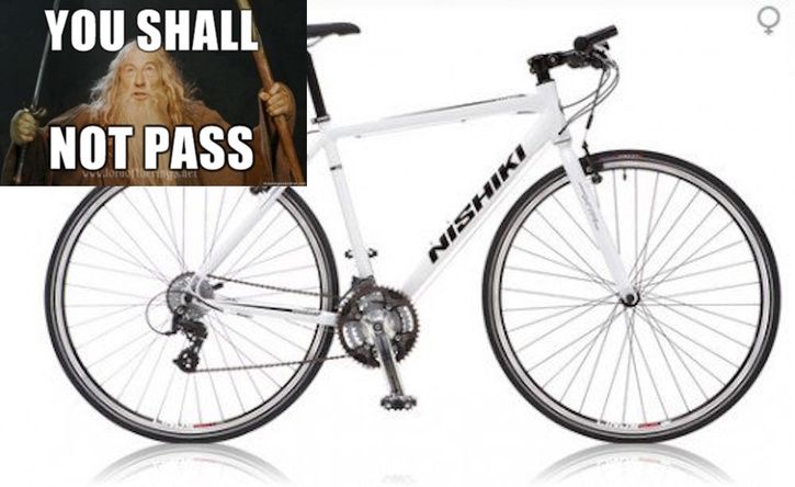 546-nishiki-comp.jpg