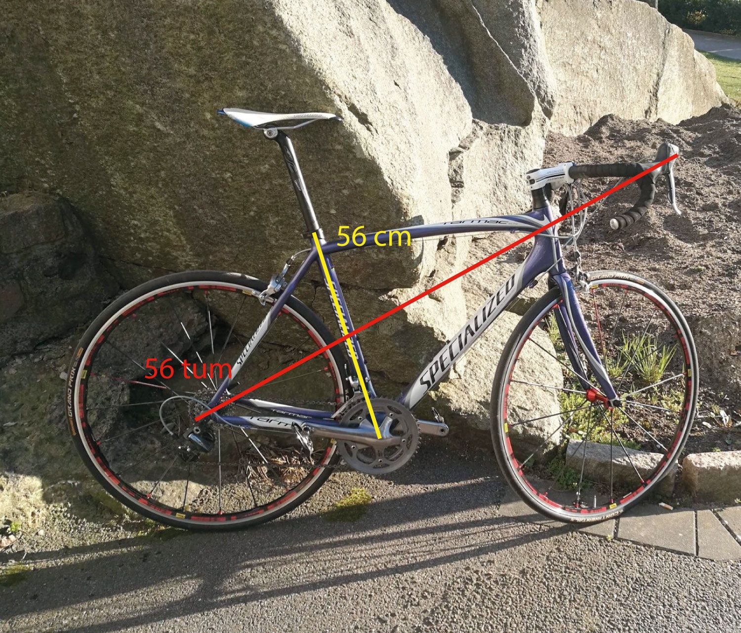 56.jpg