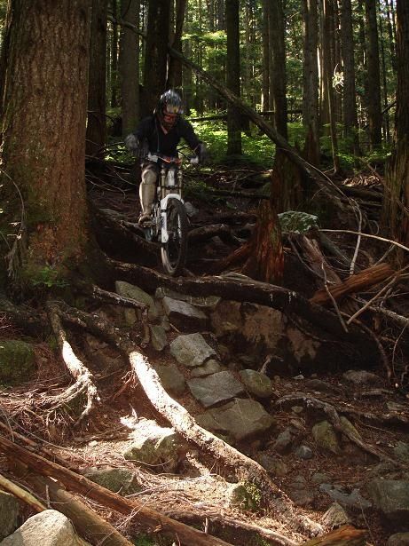 56Thomasroots.JPG ht=615