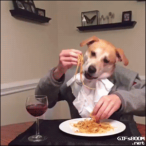 566599464133.gif
