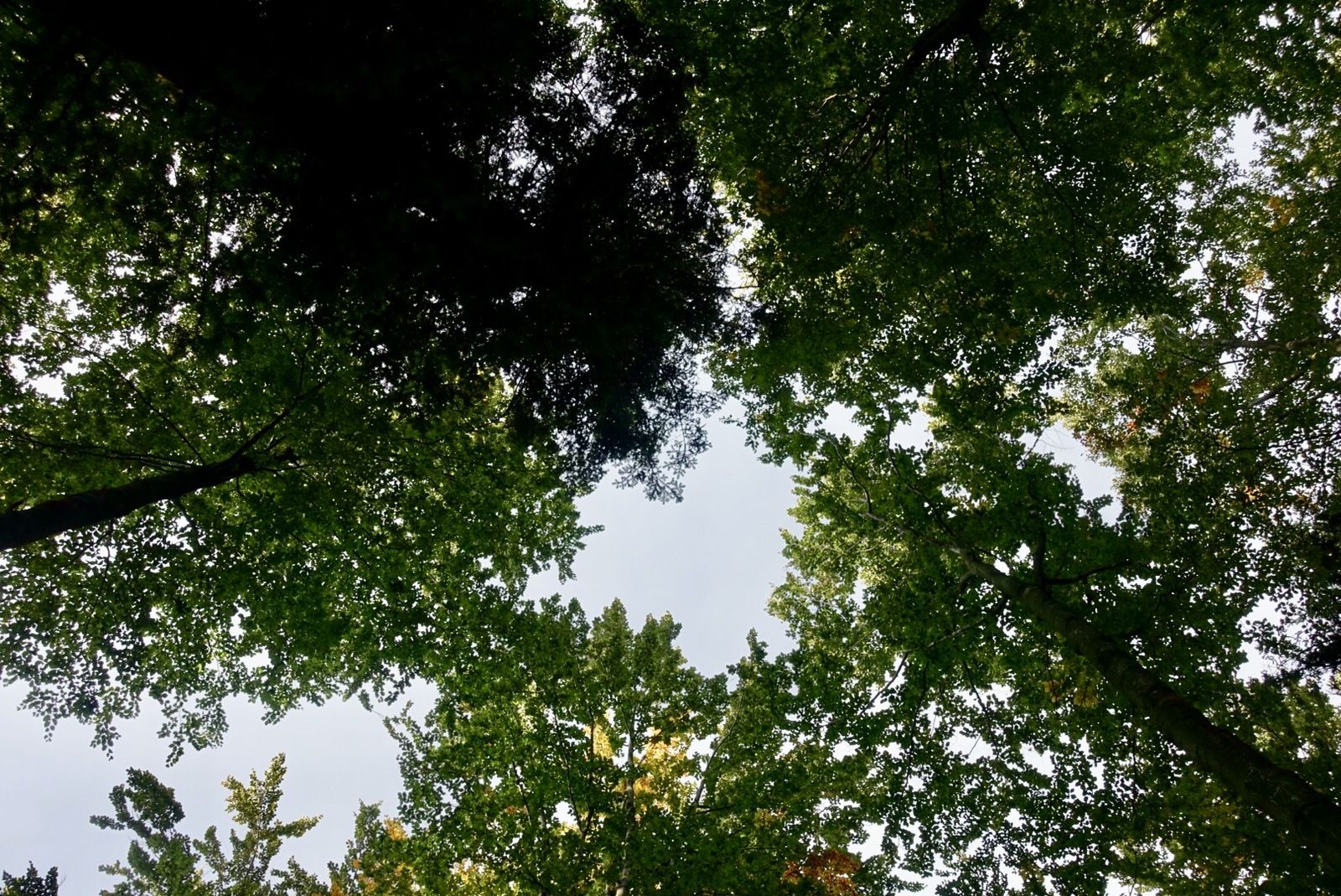 57B3B05D-3895-4C47-A3C9-4C7C344427C7.jpeg