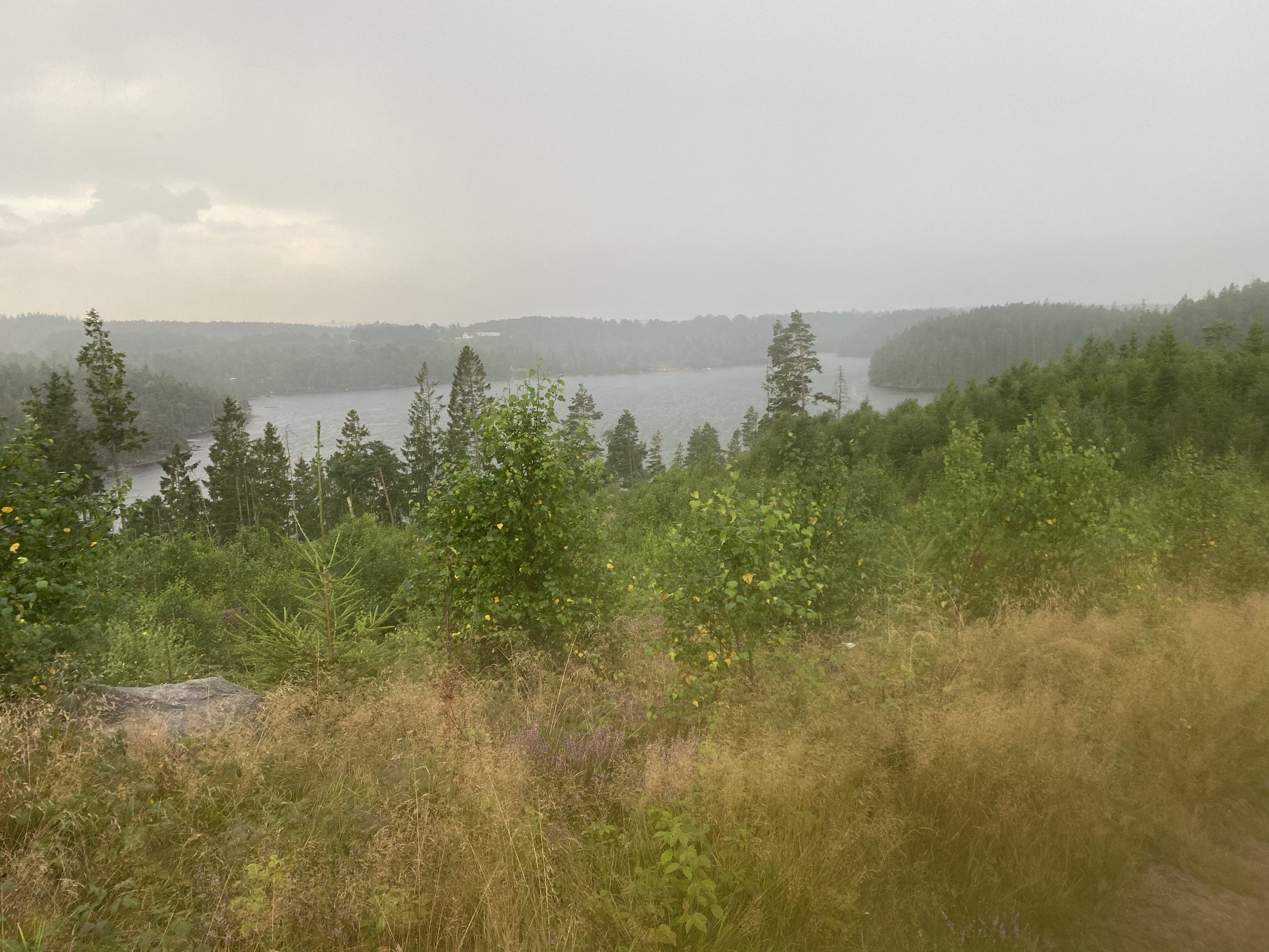 5D14CC47-D061-4351-91F0-27CEB10B0BA4.jpeg