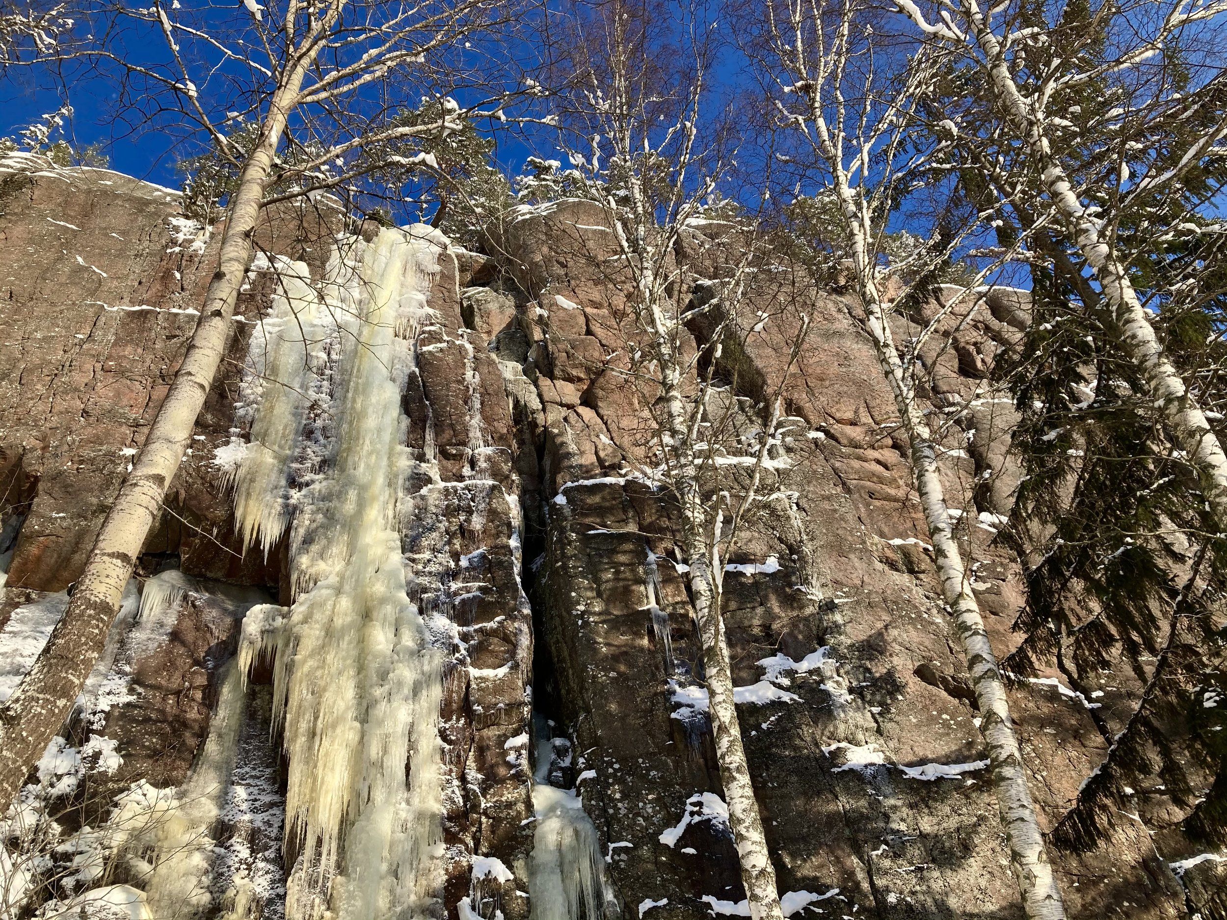 5E19E24F-1C06-46C8-B82B-78063B1140A5.jpeg