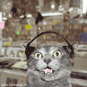 6.gif ht=280