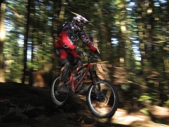 60Siggedrop.JPG ht=423