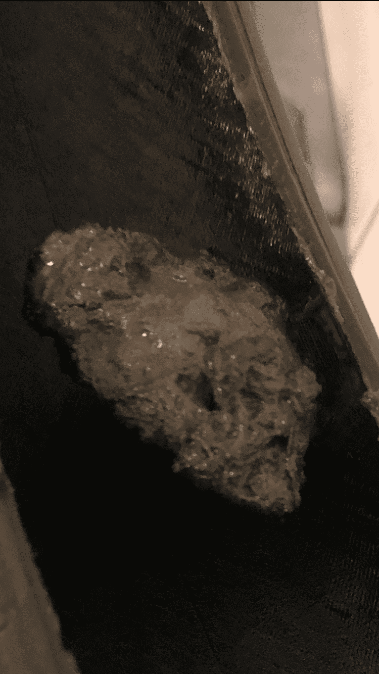 627D0D62-D56D-48D3-B7AF-709AD2AB0090.png