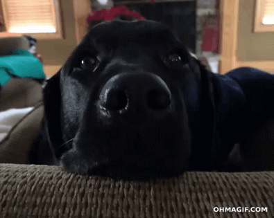 656989879646.gif