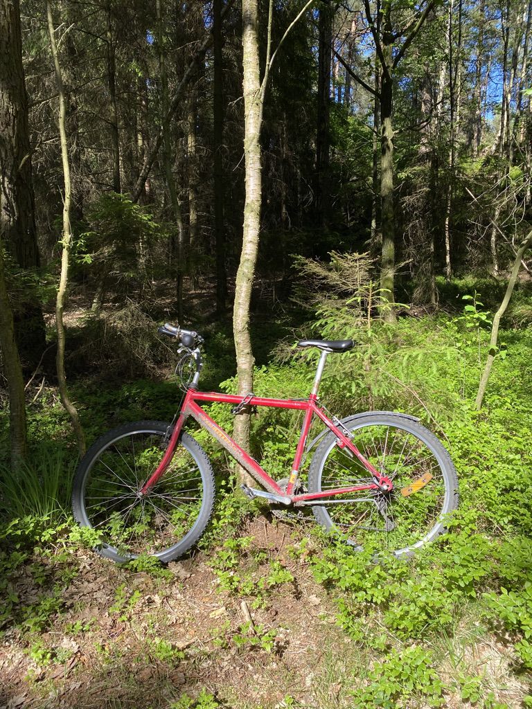 65F3454E-DBCE-4AC5-8E5F-0F9F8F08C344_1_105_c.jpeg