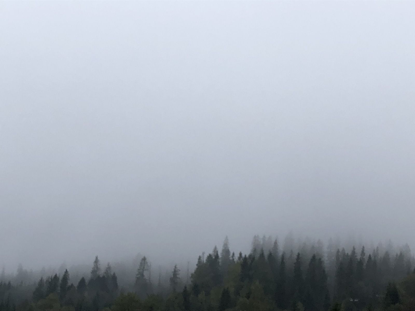 66A6C7C6-5271-4D88-89C4-0942D05E9D9A.jpeg