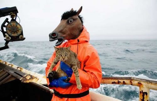 6920Horse20Holding20A20Cat.jpg ht=321