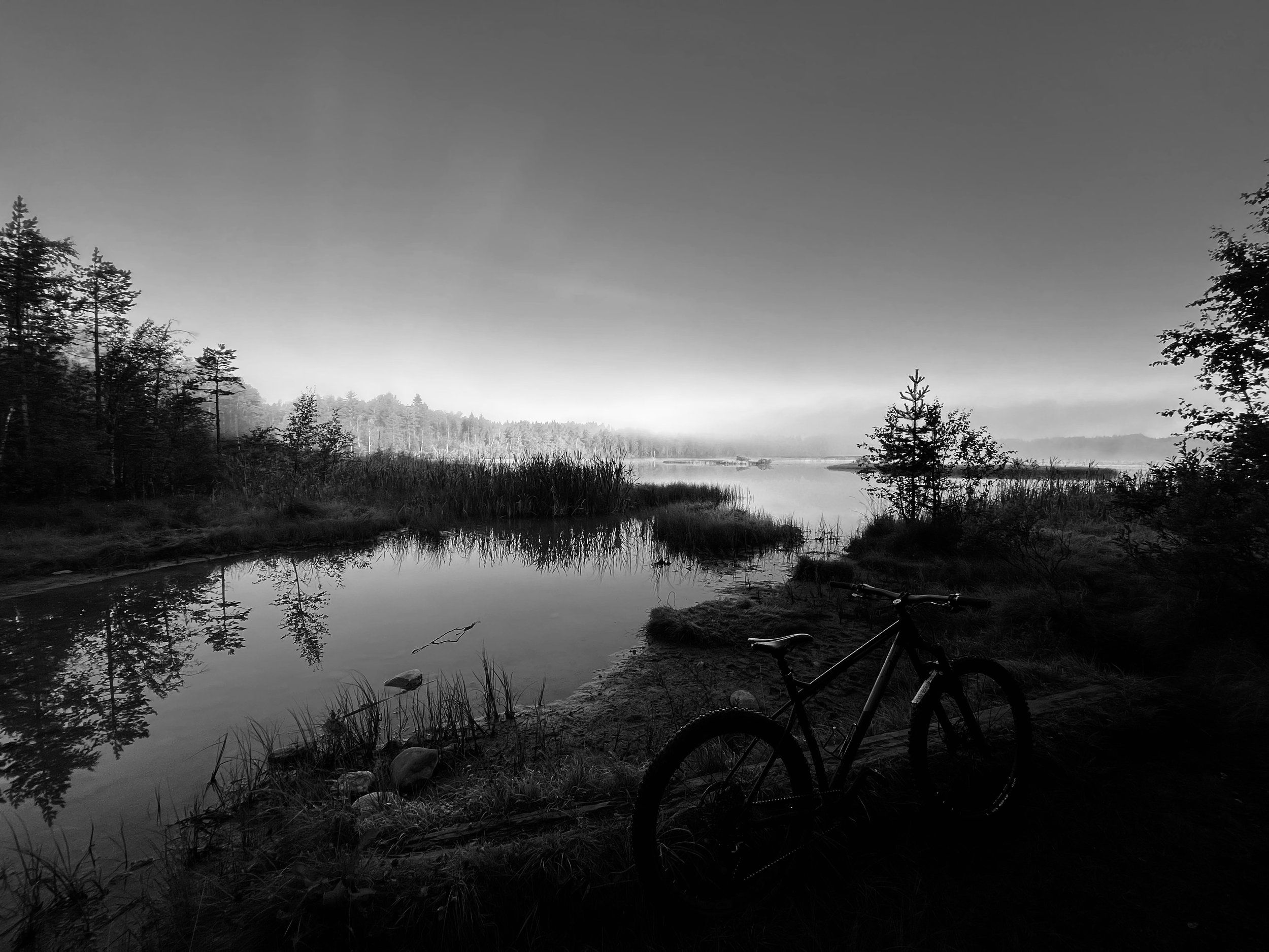 6931B48F-A2AD-470A-81F4-7E9C943C22B6.jpeg
