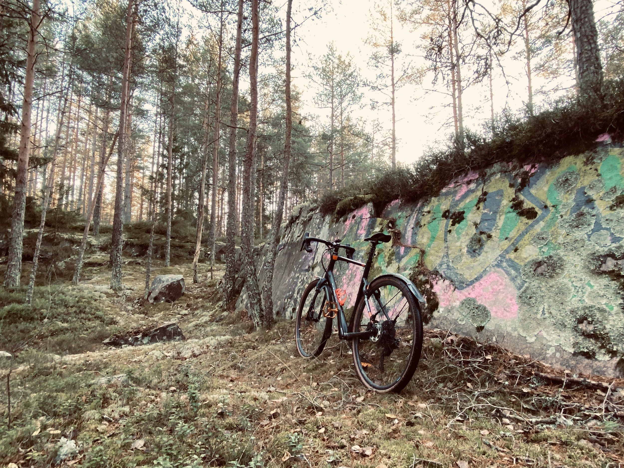 6D1F71F3-313D-41CF-96B9-E8C9613B055E.jpeg