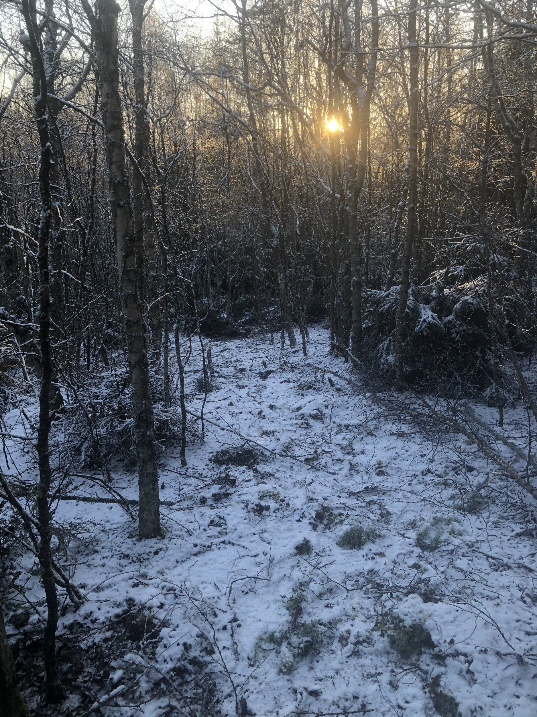 6EE021BC-B1F0-447E-AE8A-C4E030931029.jpeg