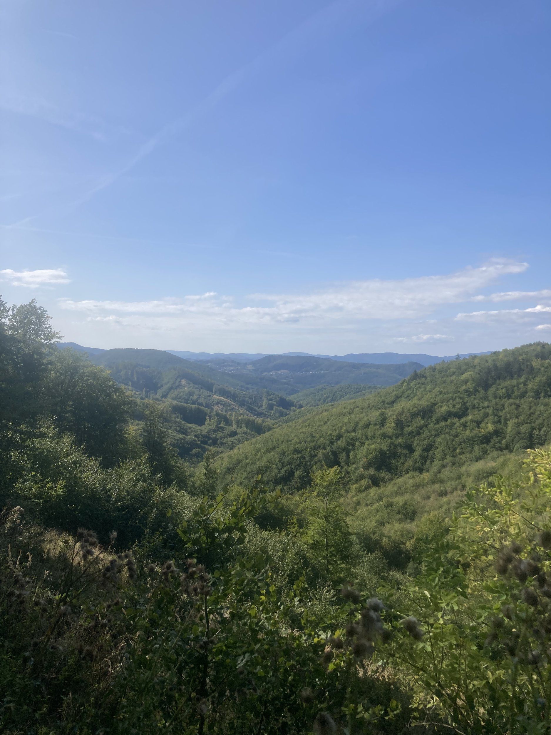 6F51EBF4-2729-4ED0-AB9F-C64F640C5958.jpeg