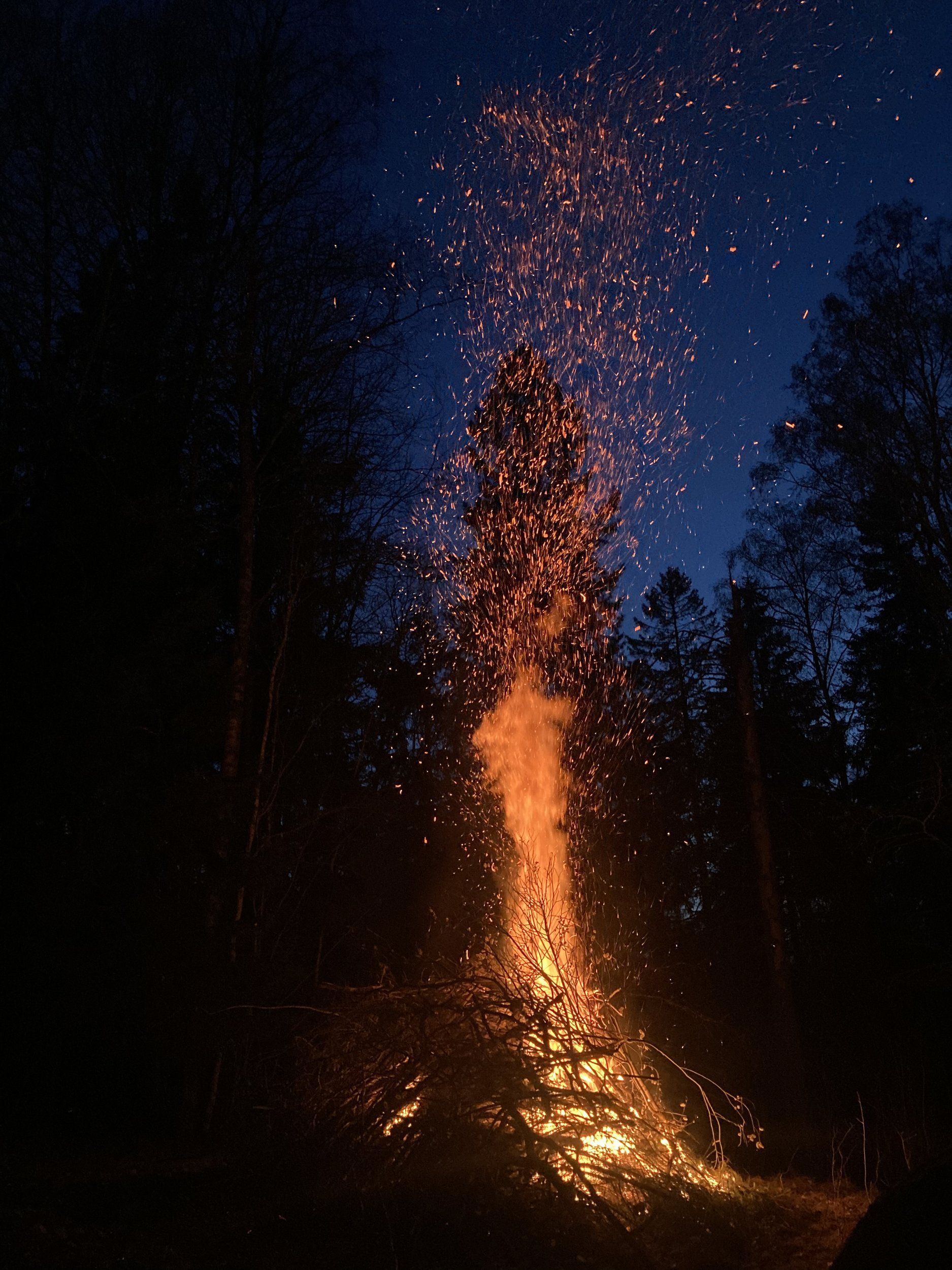6F806143-4078-4395-A86F-EAAD7F1A7946.jpeg