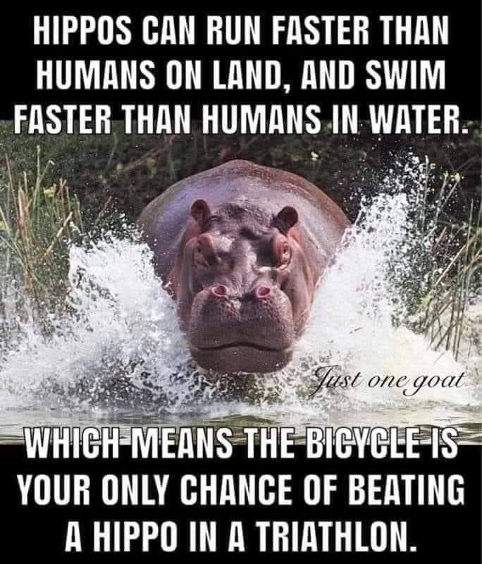 6FB1171D-FA75-4C7F-8877-B8A821488E7A.jpeg