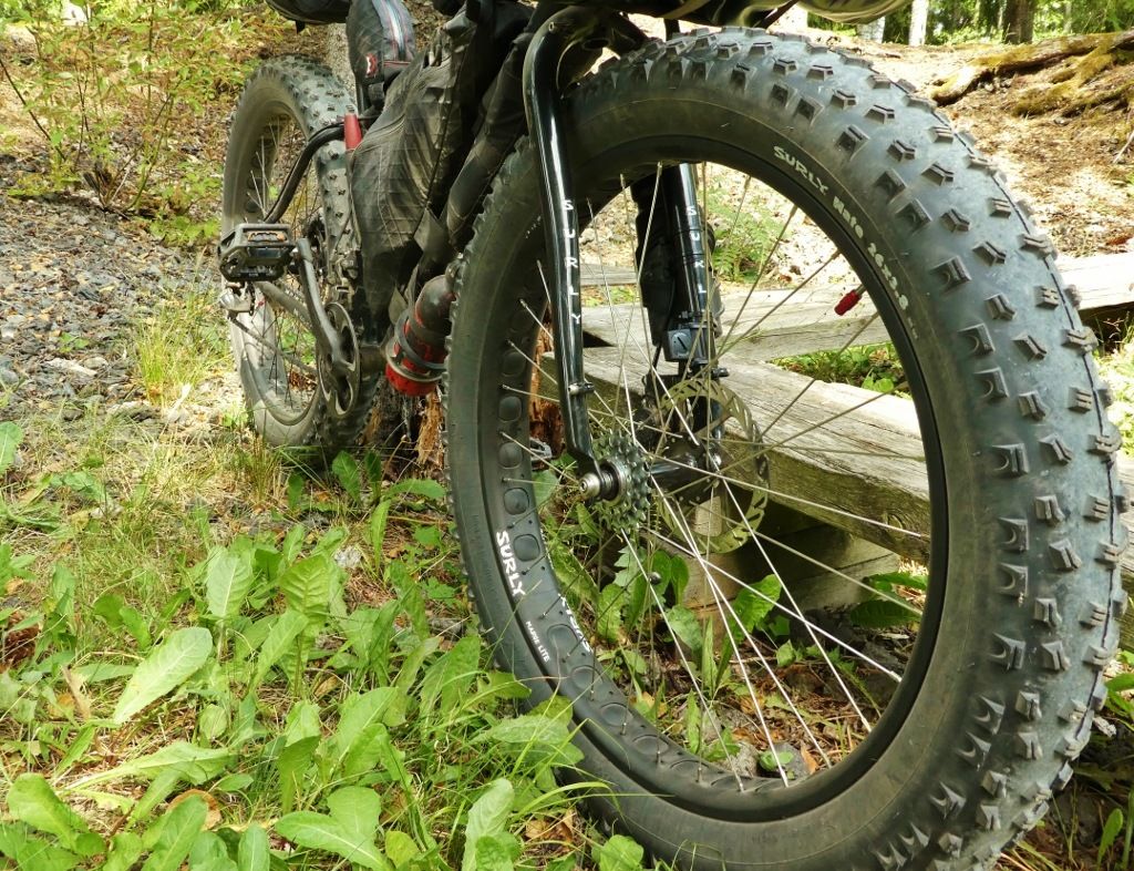 6P10608611024x786.jpg