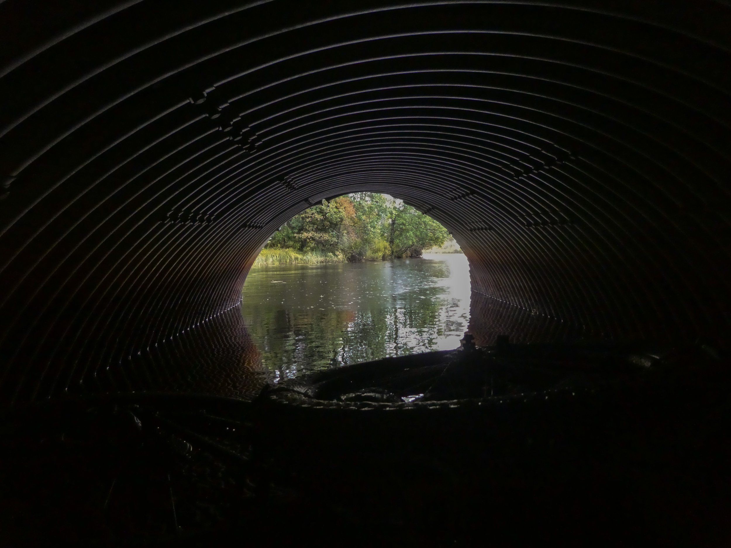 6P1220126.jpg