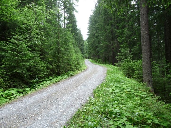 7.jpg ht=544