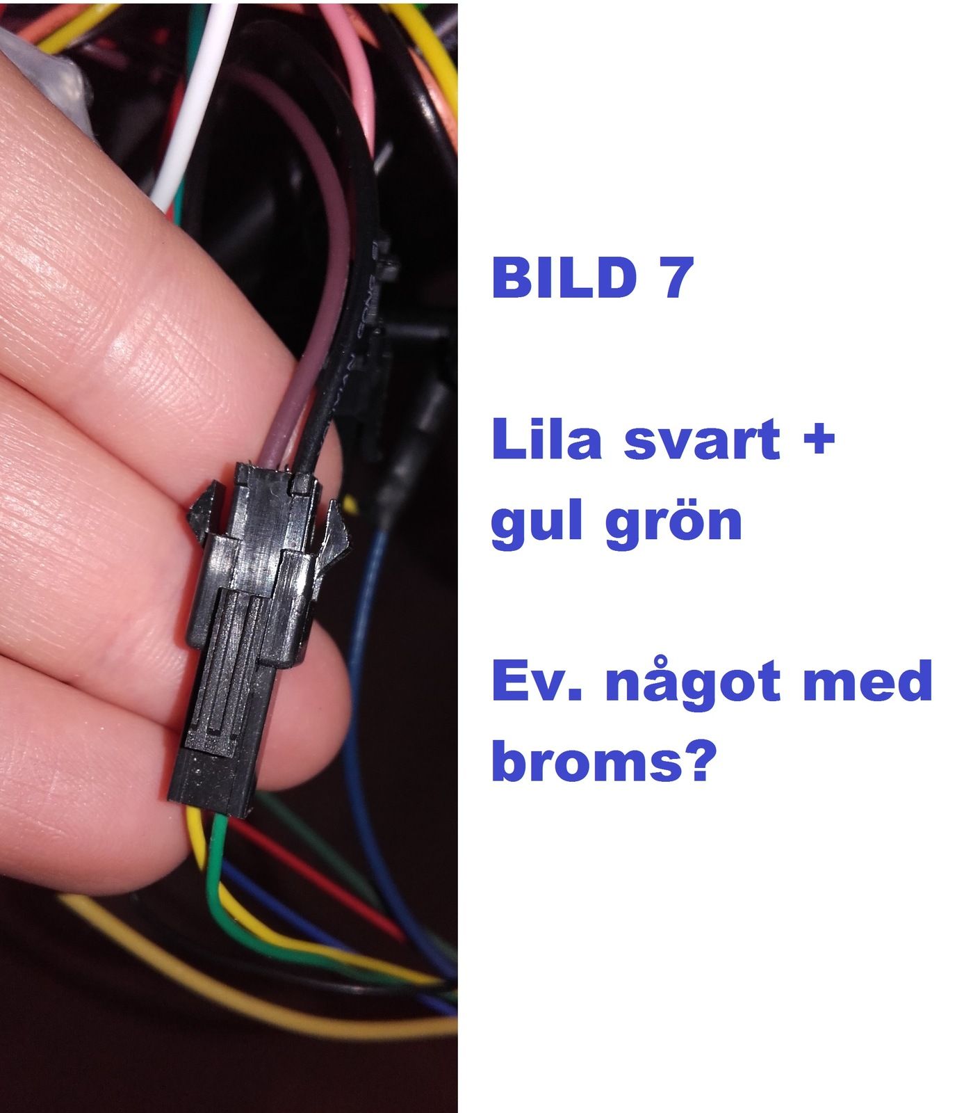 7.Lilasvart+gulgrn-ev.ntmbroms.jpg