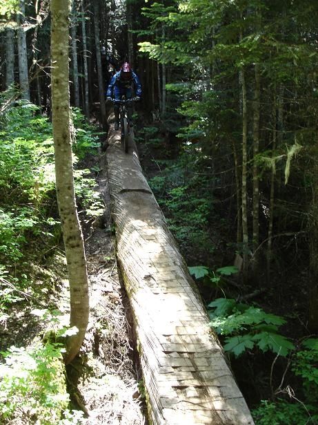 70Mickelogg.JPG ht=615