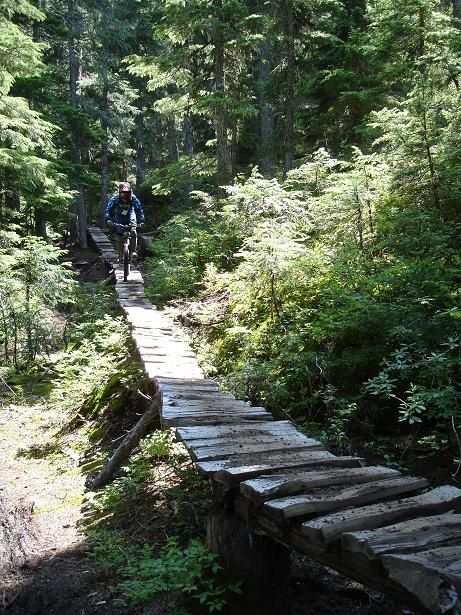 72MickeInDeep.JPG ht=615