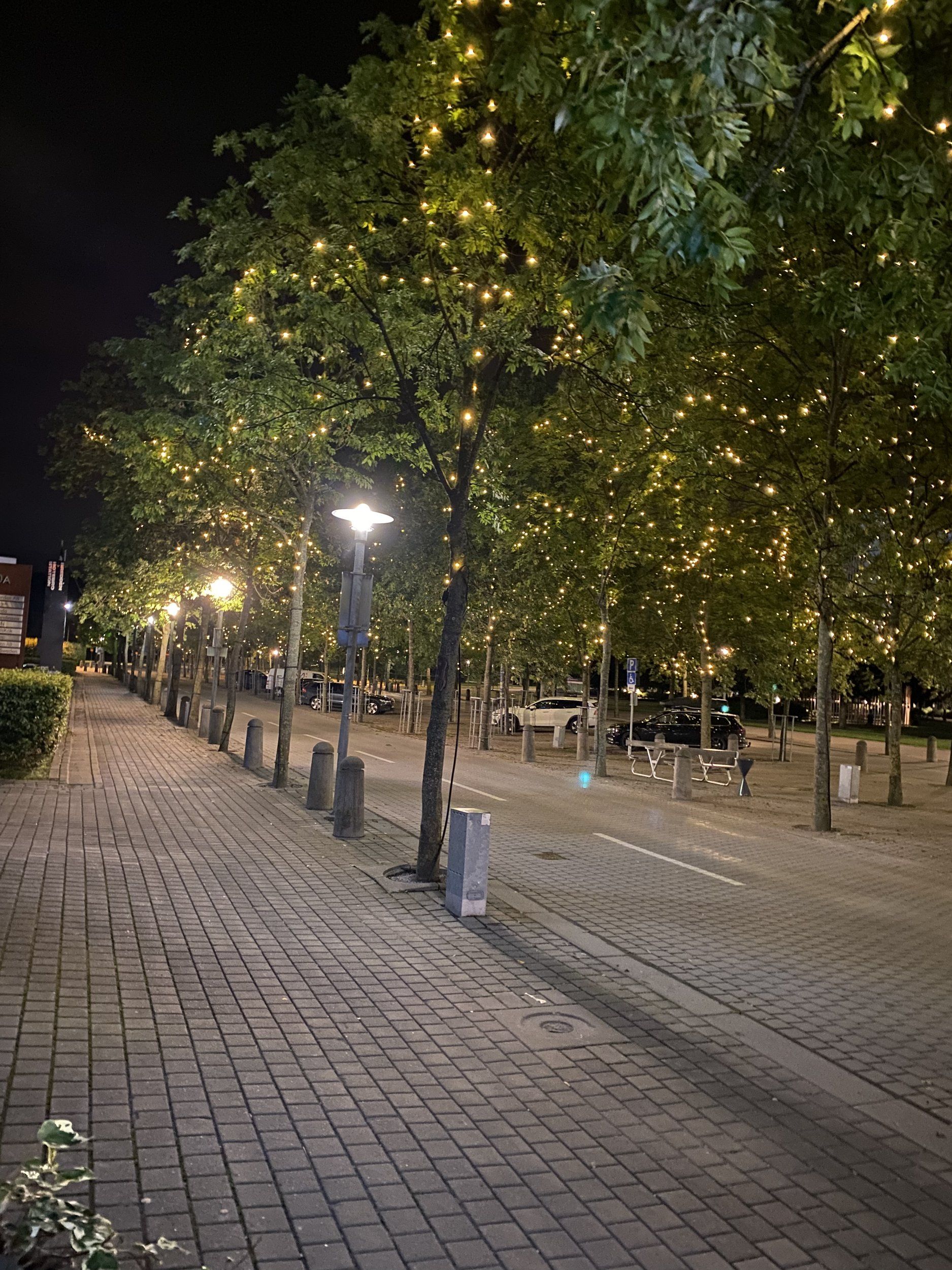 72236724-BE52-450D-A072-EFAD2A74AC4A.jpeg