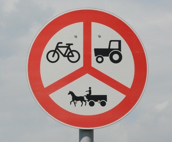 7248.jpg ht=480