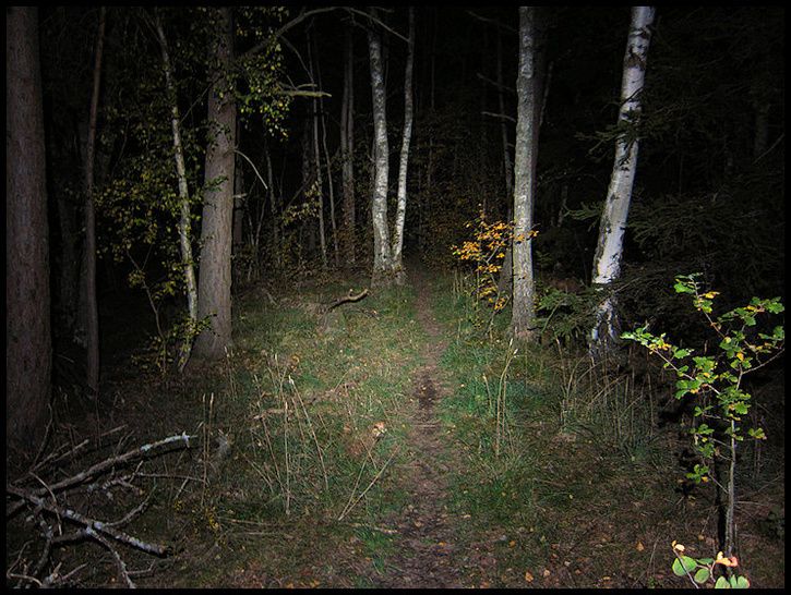 75.jpg