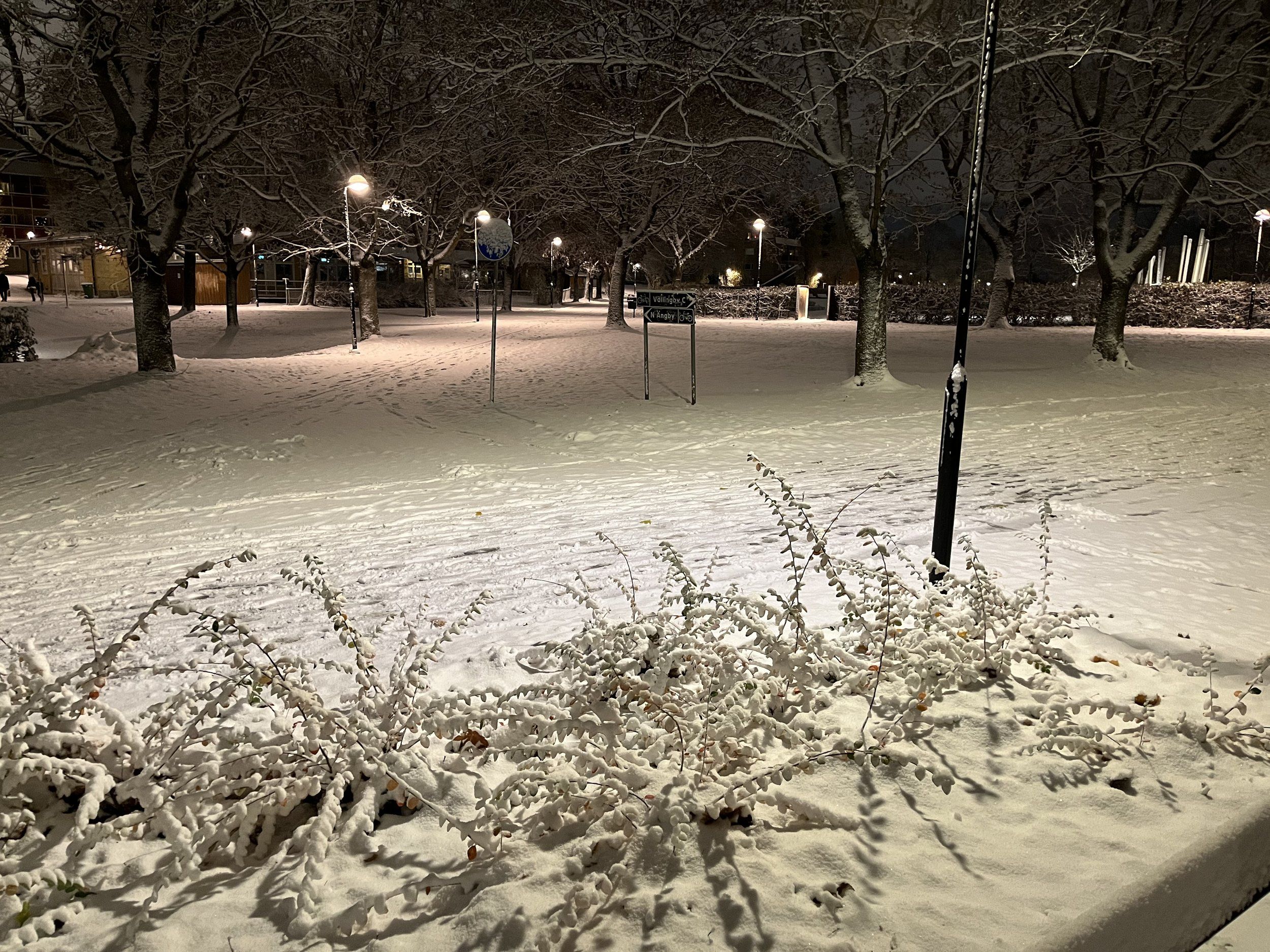78662461-EC08-4542-807F-F39F5B5A44CF.jpeg