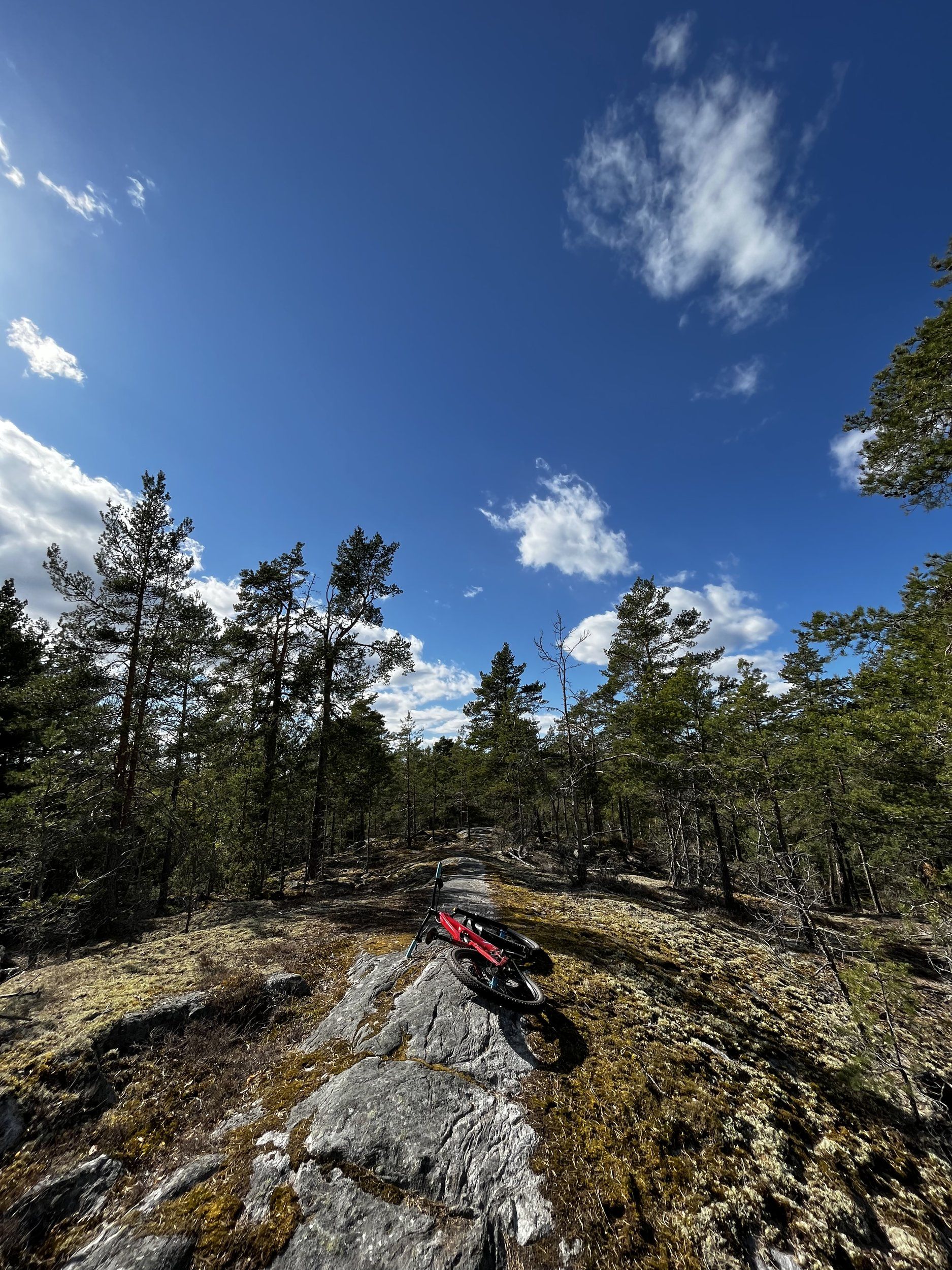 79013F17-CA39-4F12-AC8E-6783C23E5393.jpeg