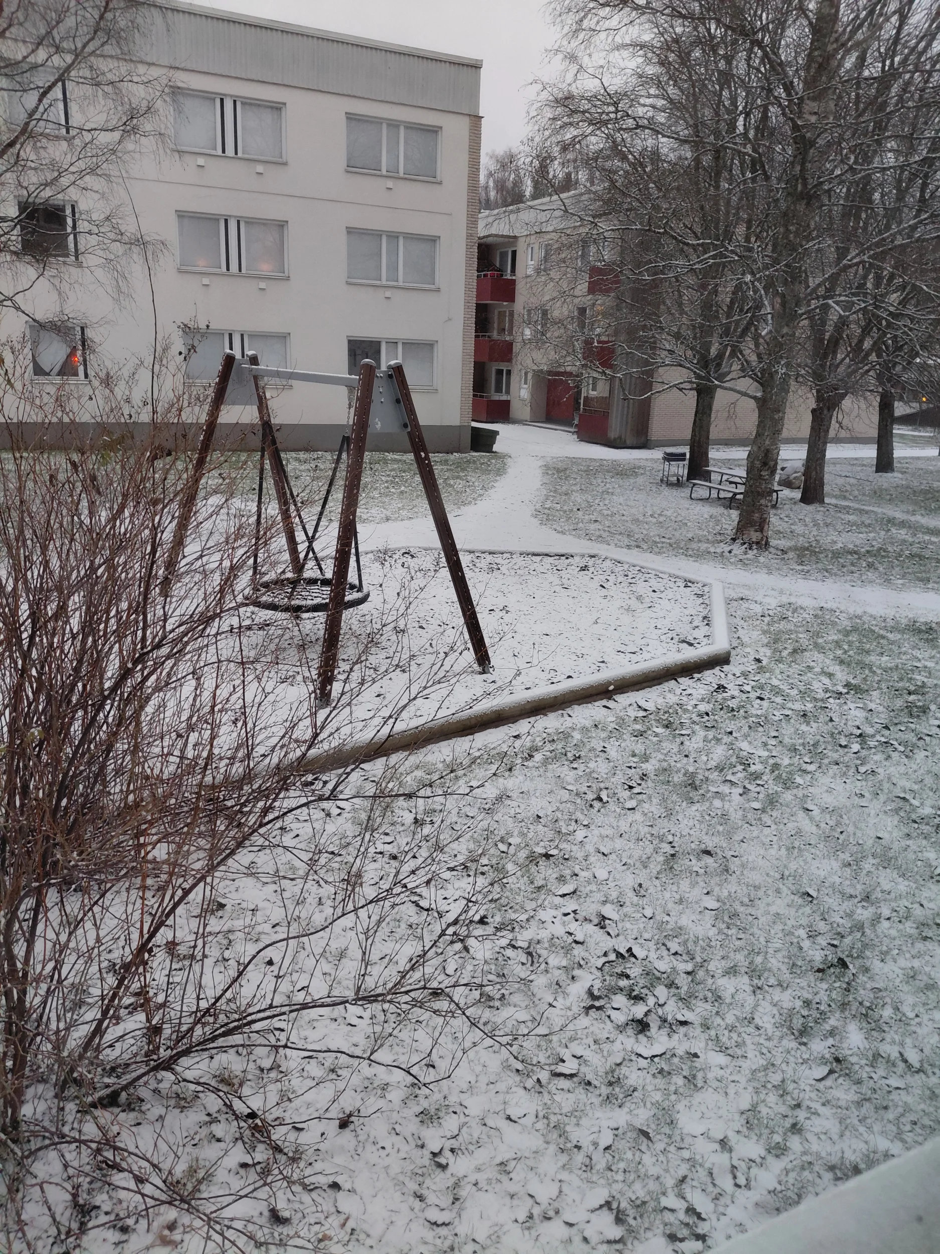 798.webp