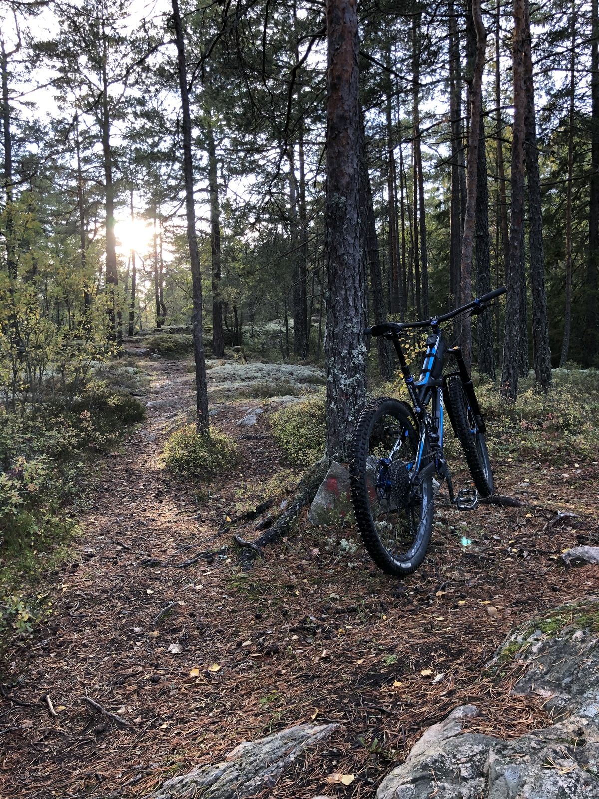 7BC53558-7216-45AB-A1CC-AE3F877225E4.jpeg