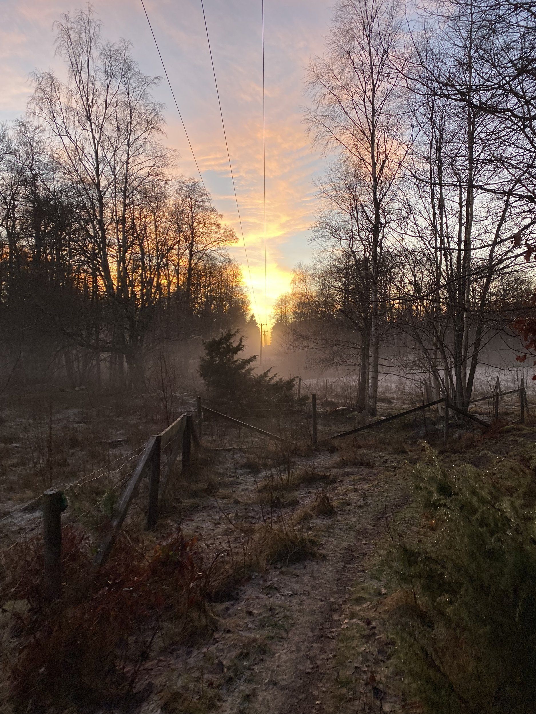 7E45B1EF-0896-40E6-9EF8-A6E34DBCE925.jpeg