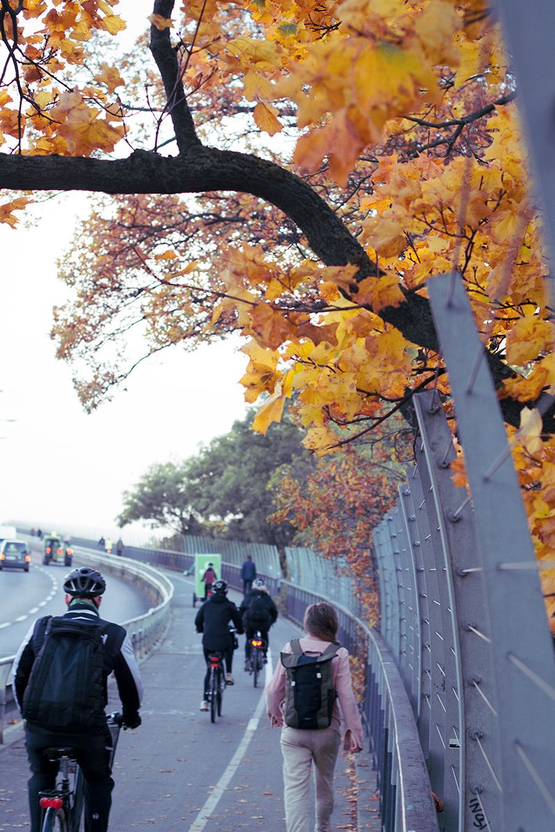 7okt1.jpg