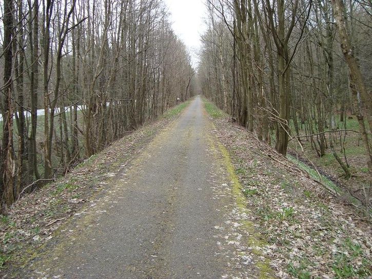 8.JPG ht=544