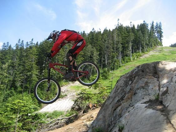 80Siggedrop.JPG ht=423