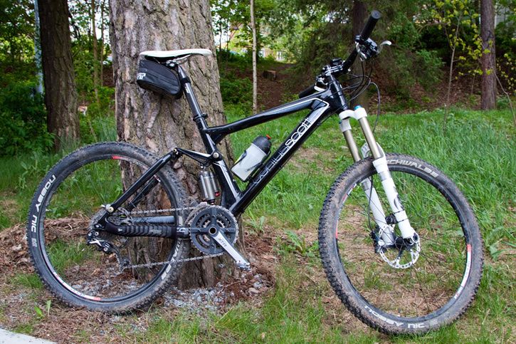 800genius10.jpg ht=483