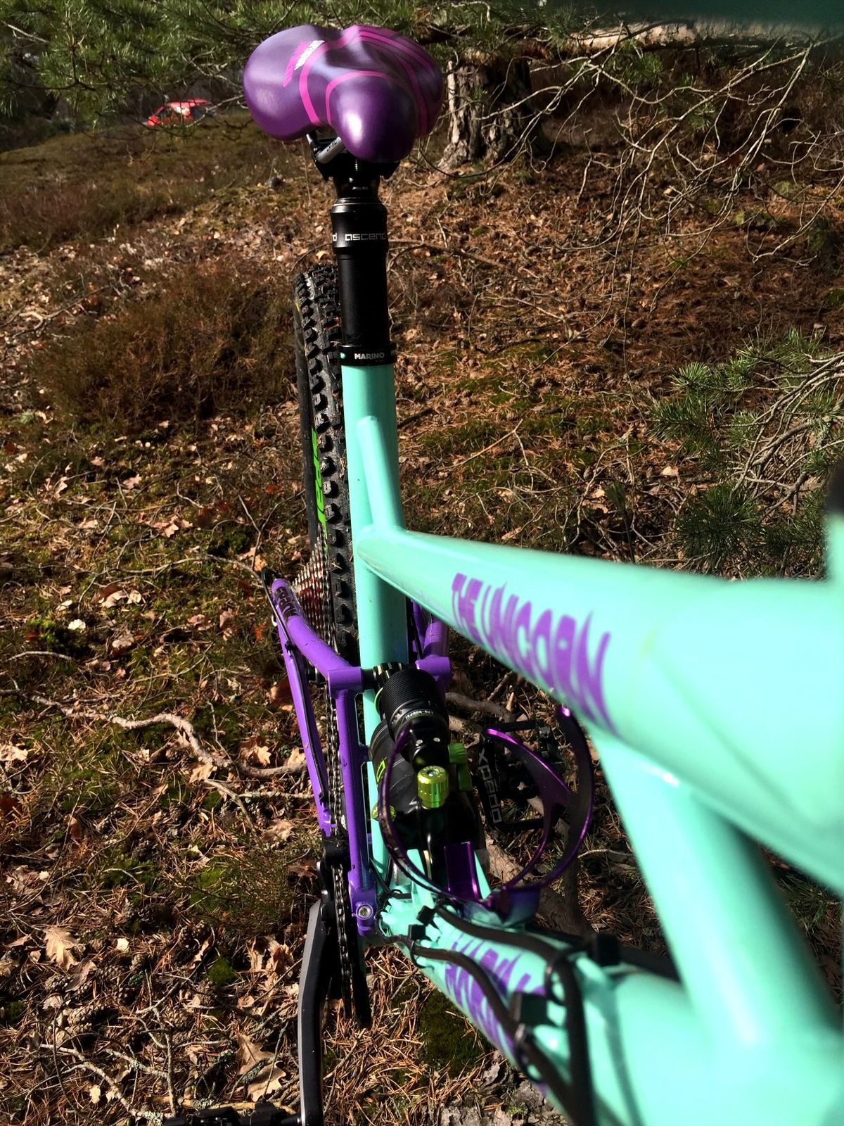 8068F4B7-5178-4576-B766-96447C648F9D.jpeg