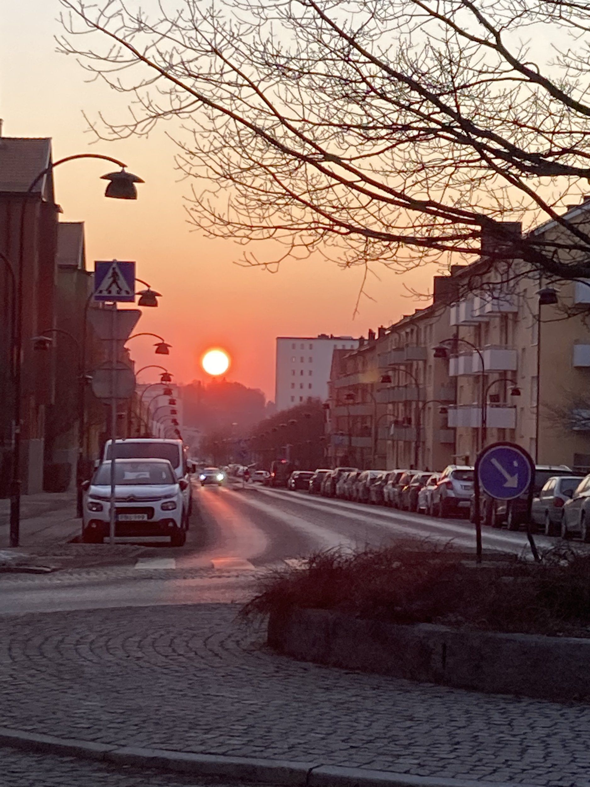 82E1D625-8FEF-45F3-8C50-06B94B15C240.jpeg