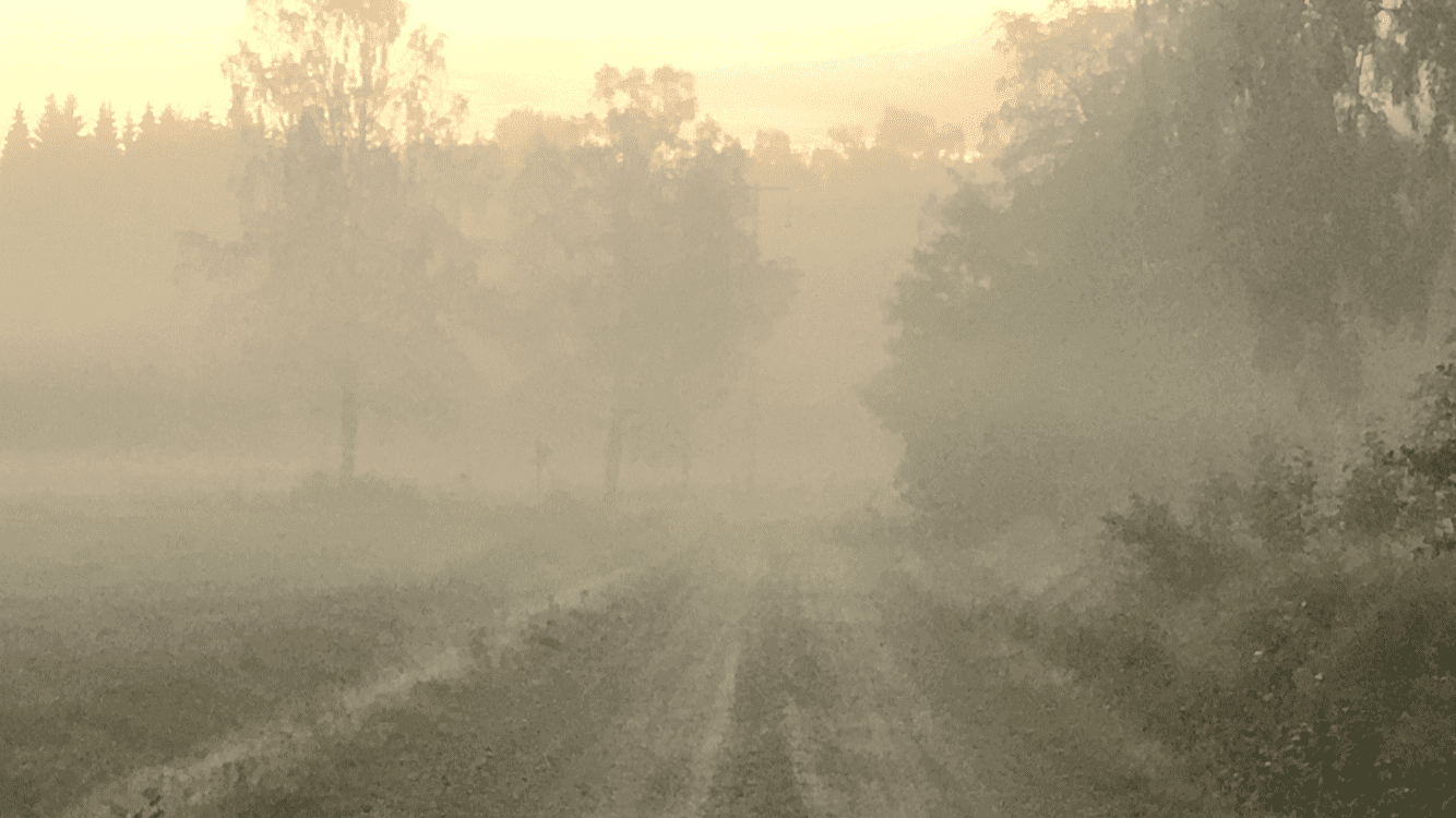 82E2D842-2C4E-4500-80AA-CC2D1AB6C79D.png