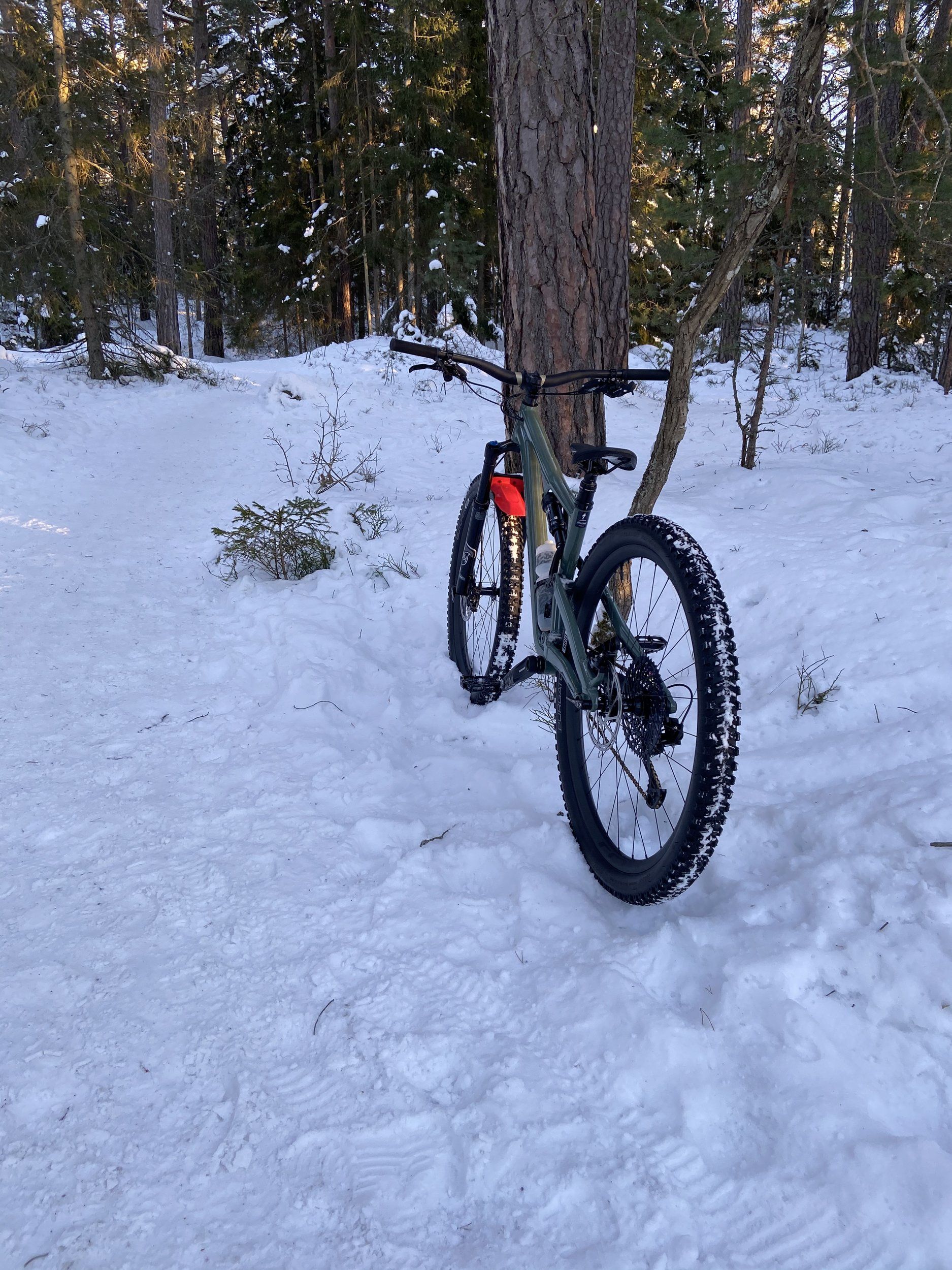 8642D277-FFE0-4B02-97E5-BA3FEB291072.jpeg