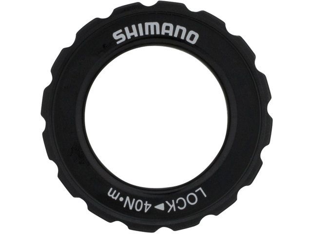 8989646.jpg