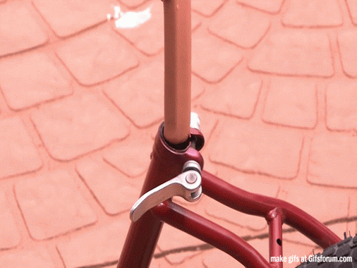 8c21.gif