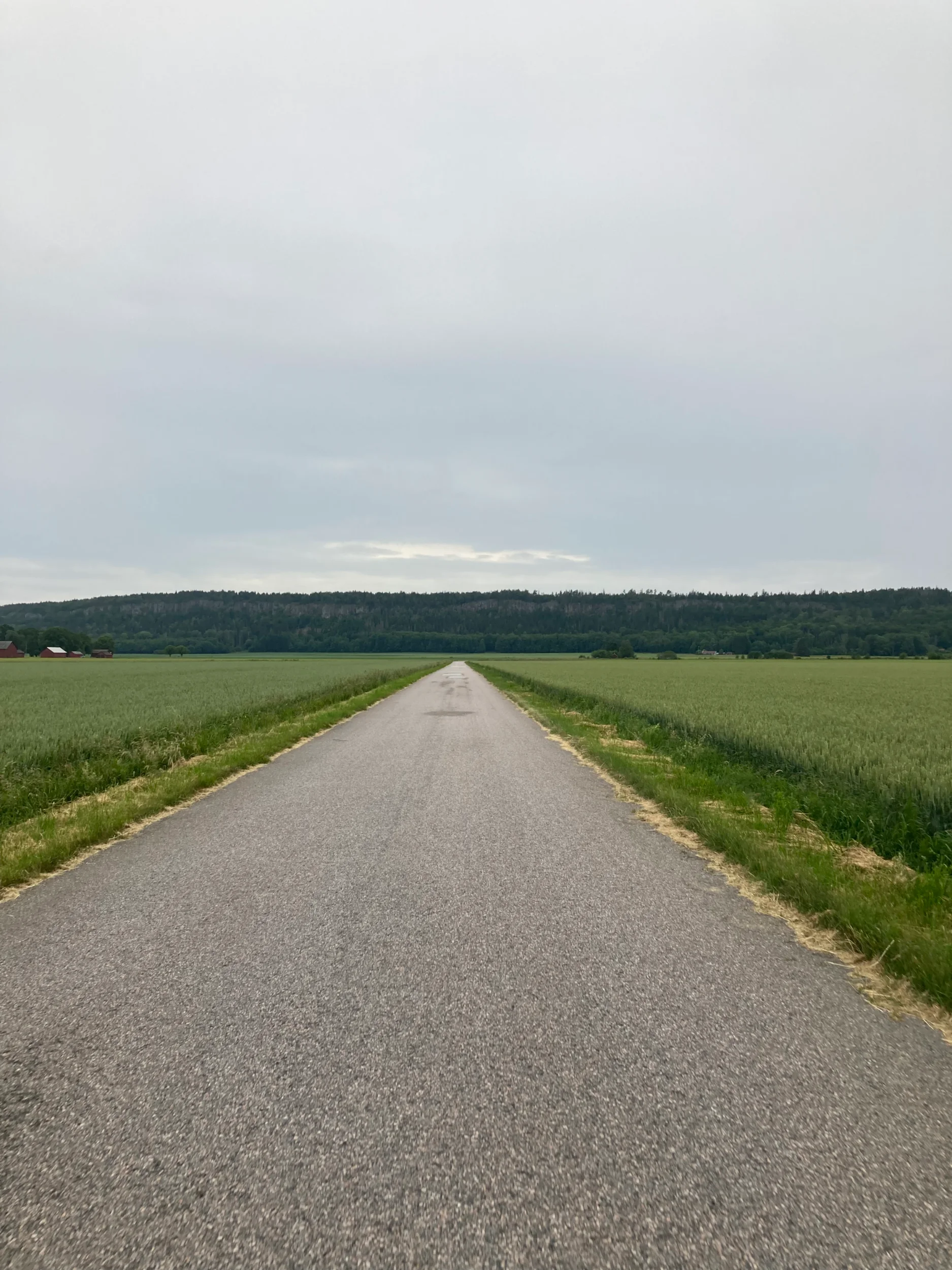 8F280E8F-B172-414D-B7B4-435814853934.webp